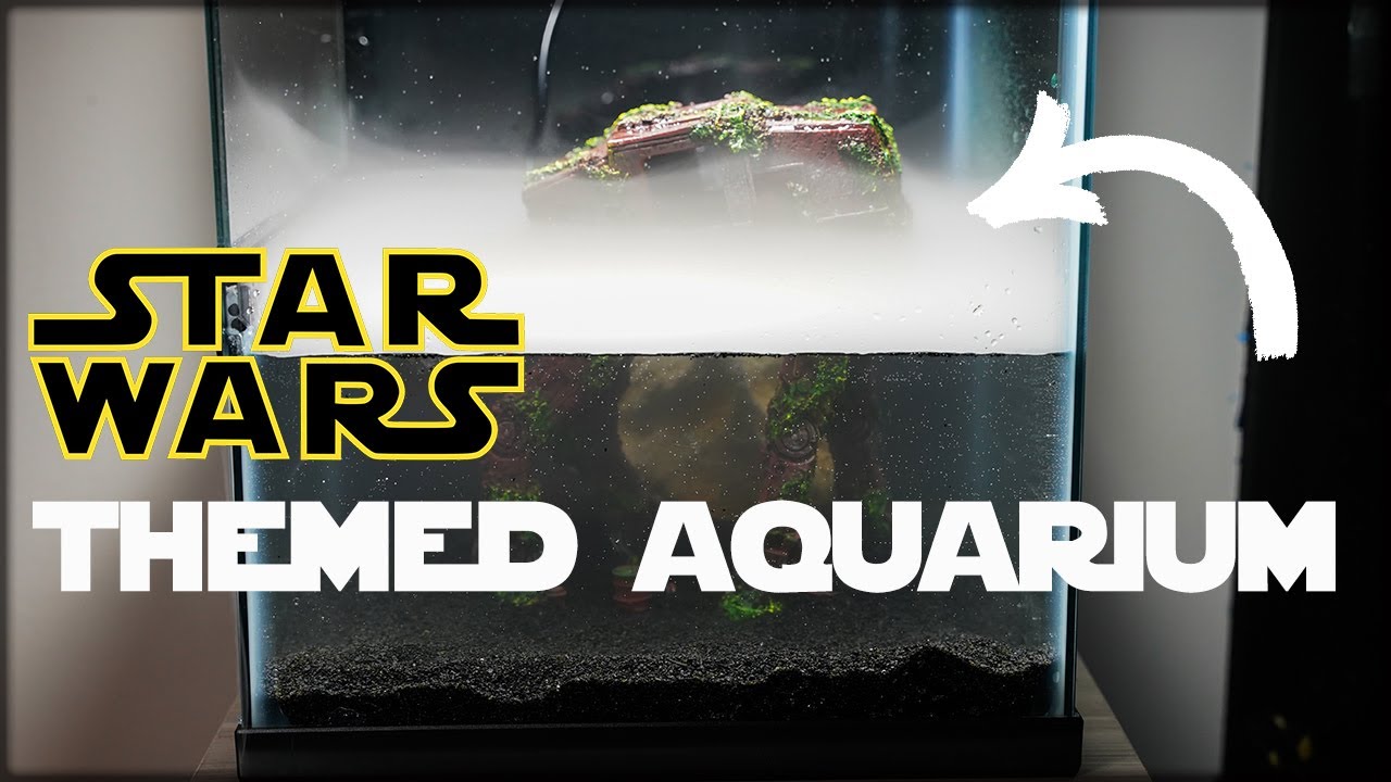 Star Wars Themed Aquarium
