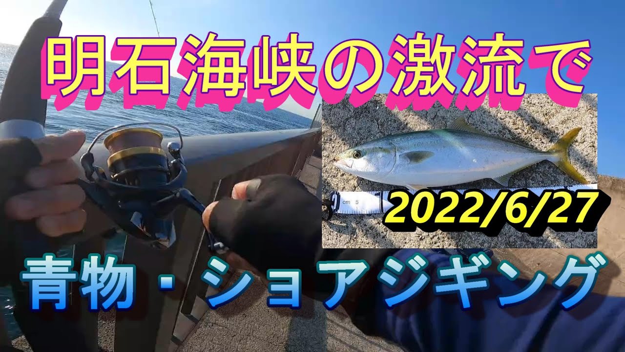 明石海峡の激流で　青物ヒット！