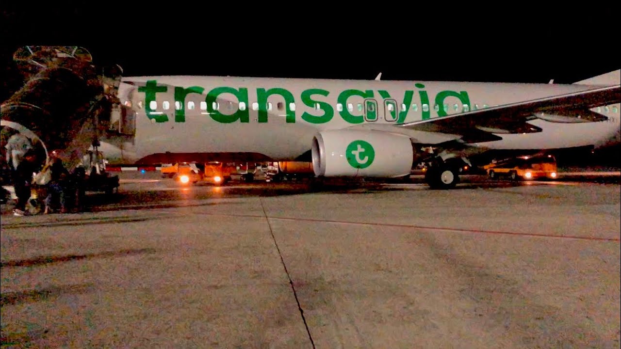 TRIPREPORT | Transavia | Pisa (PSA) - Amsterdam (AMS) | 737-800 | Economy
