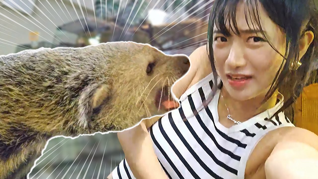 I went to an Exotic Animal Cafe