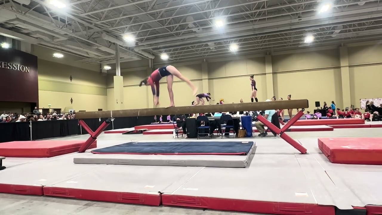 Charlotte Gold Beam Palmetto 2026