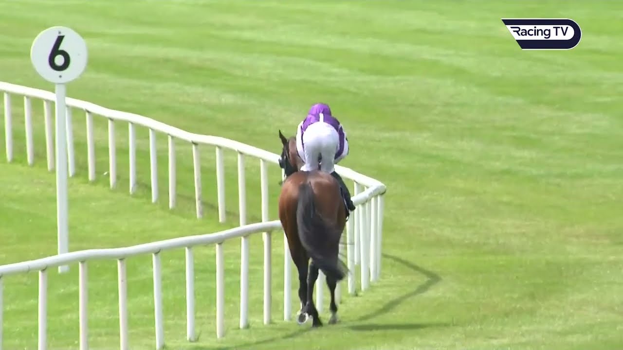 ORDER OF AUSTRALIA repeats the feat in the Minstrel Stakes | Racing TV