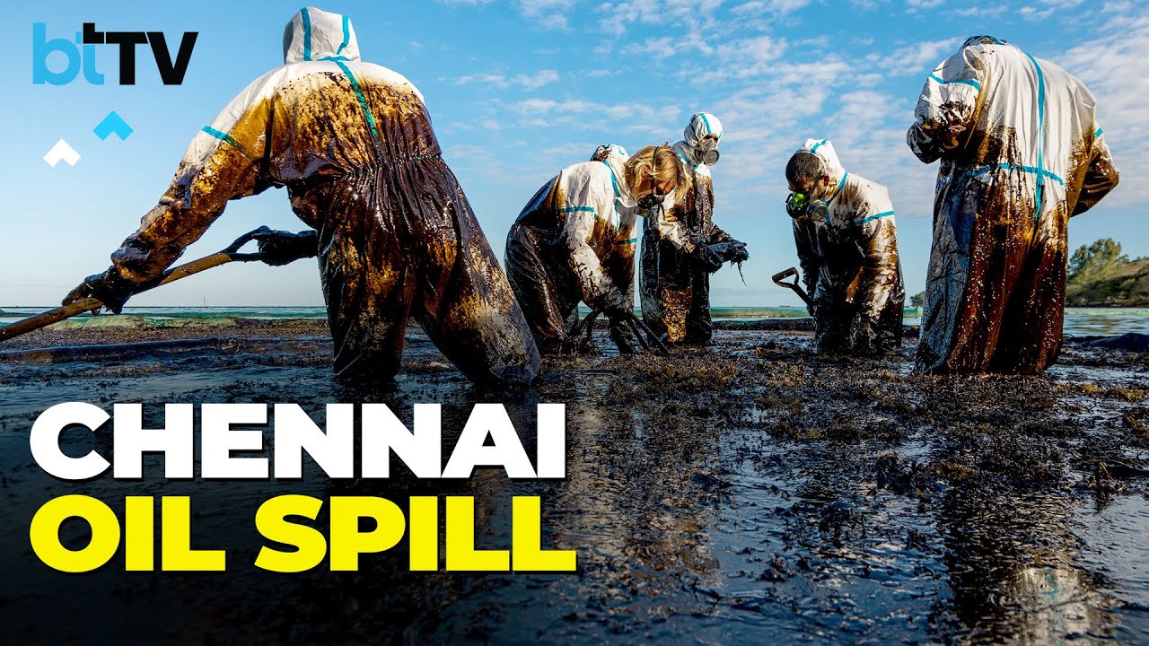 Man-Made Ecological Disaster, Who Is Behind Ennore Creek Oil Spill In Chennai?