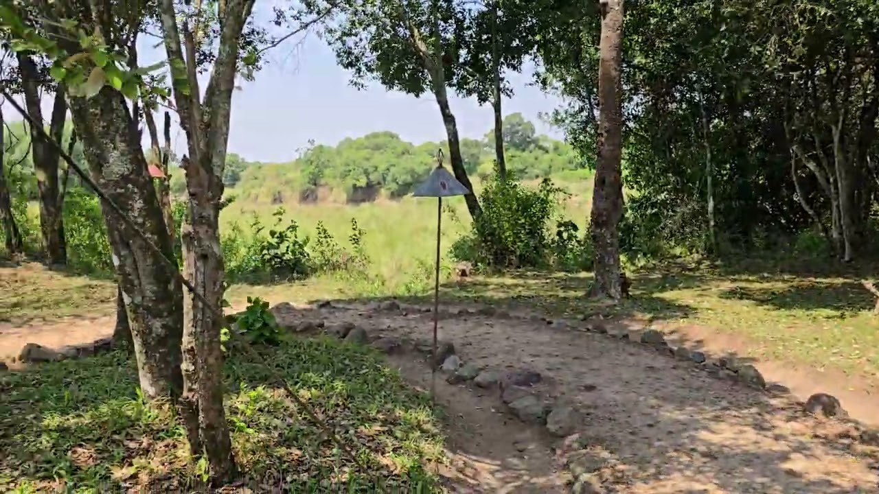 safari stay at Mara river .