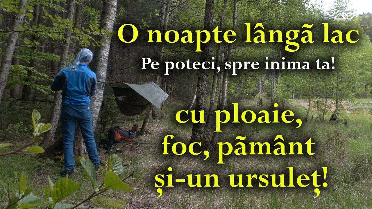 Apa, pamant, foc si un urs. Un episod senzorial Pe poteci, spre inima ta! S4 - Ep 11 (118)