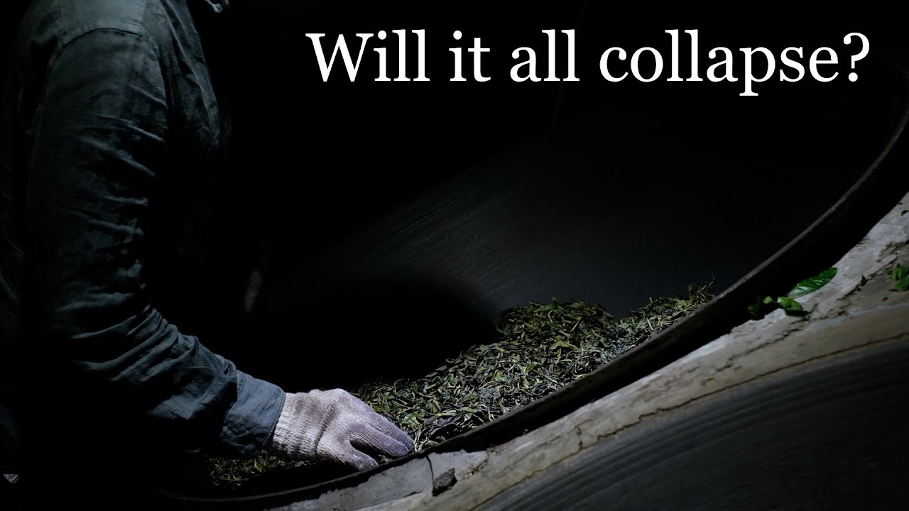 Late-night ramblings about the Puerh tea economics