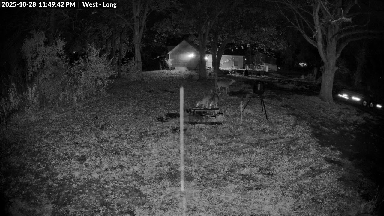 Animal Watch - 10/28/2025