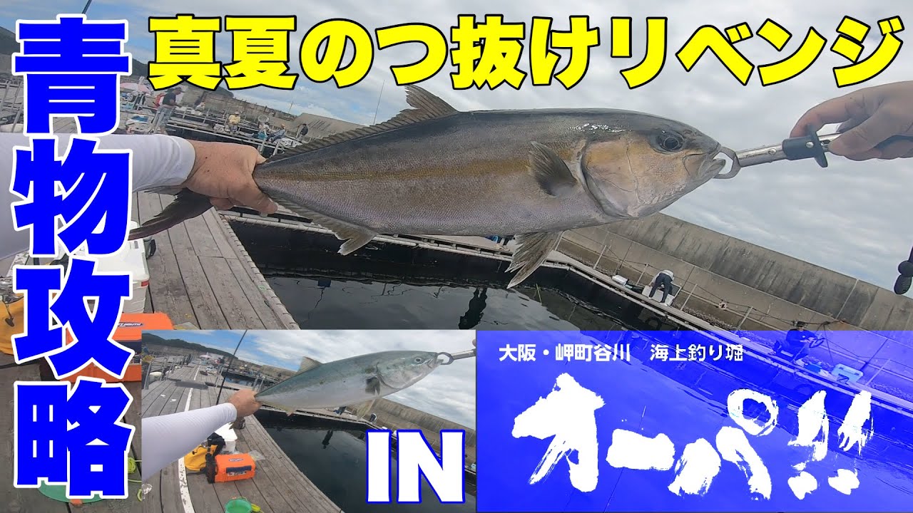 【海上釣り堀】真夏のつ抜けリベンジ！IN海上釣堀オーパ！！