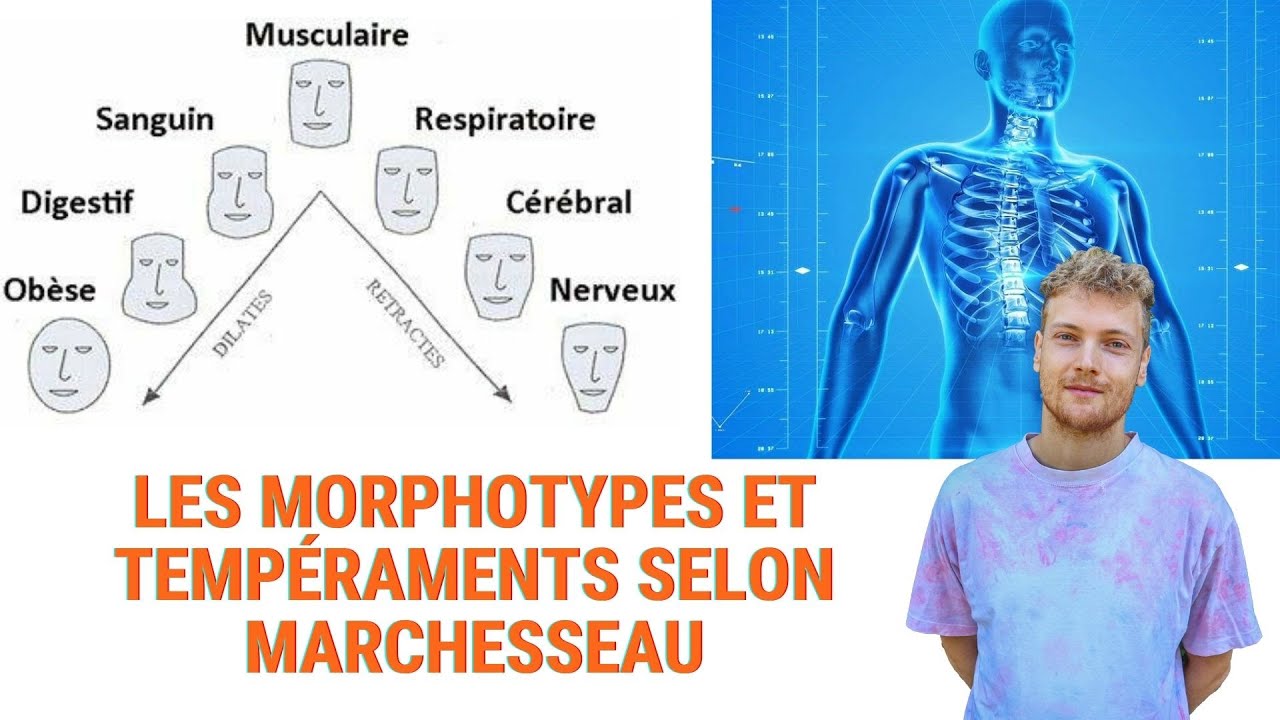 L'ANALYSE DES MORPHOTYPES ET TEMPÉRAMENTS POUR EVALUER LE TERRAIN | CLASSIFICATION DE MARCHESSEAU 💪