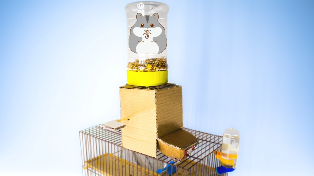 DIY Hamster Food Dispenser from Cardboard