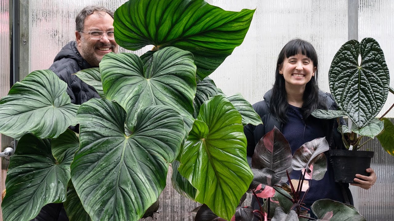 This Awesome Farm HAS Your Next PLANT!
