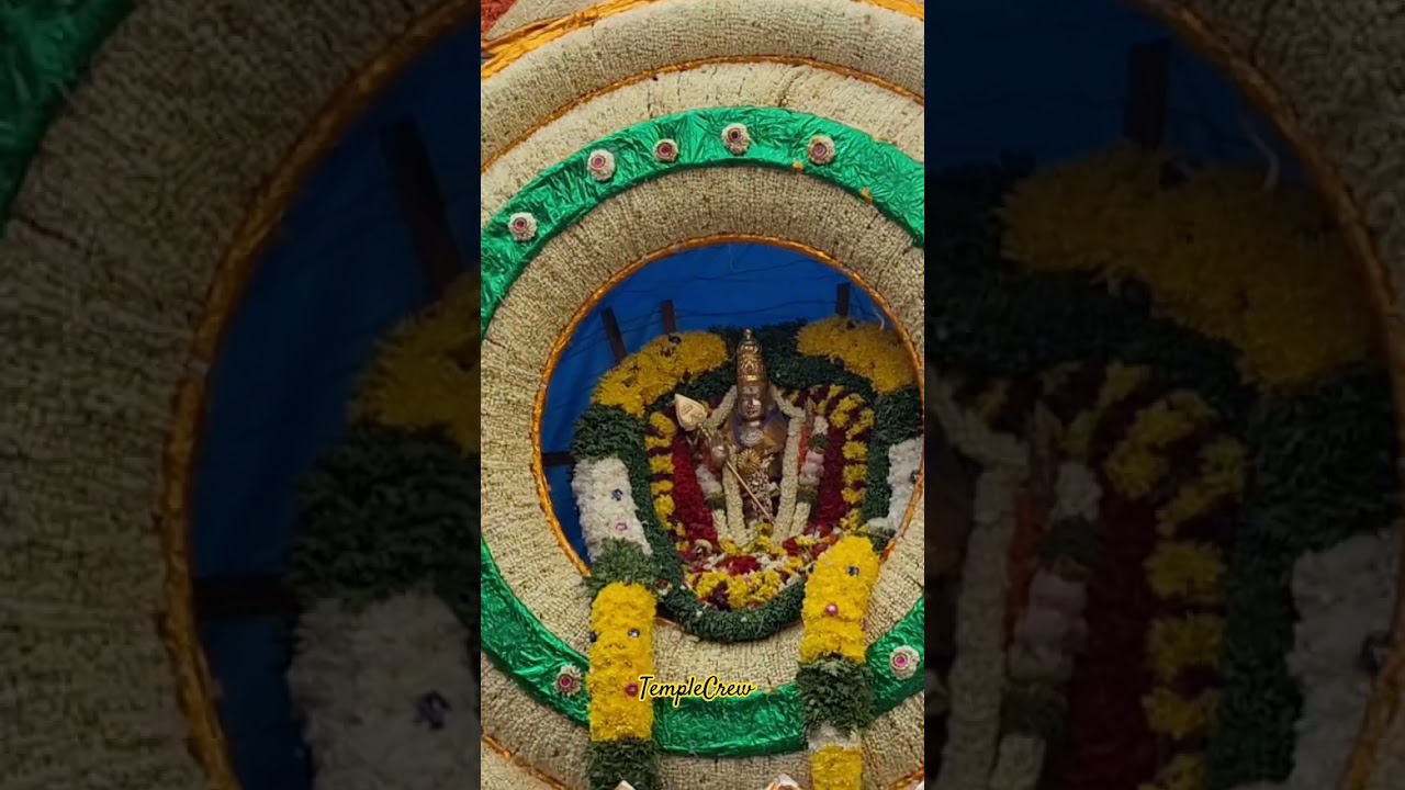Bellandur Pallaki Utsava 2024 #viral #tamate #dance #festival #Pallaki #bellandur @templecrewww