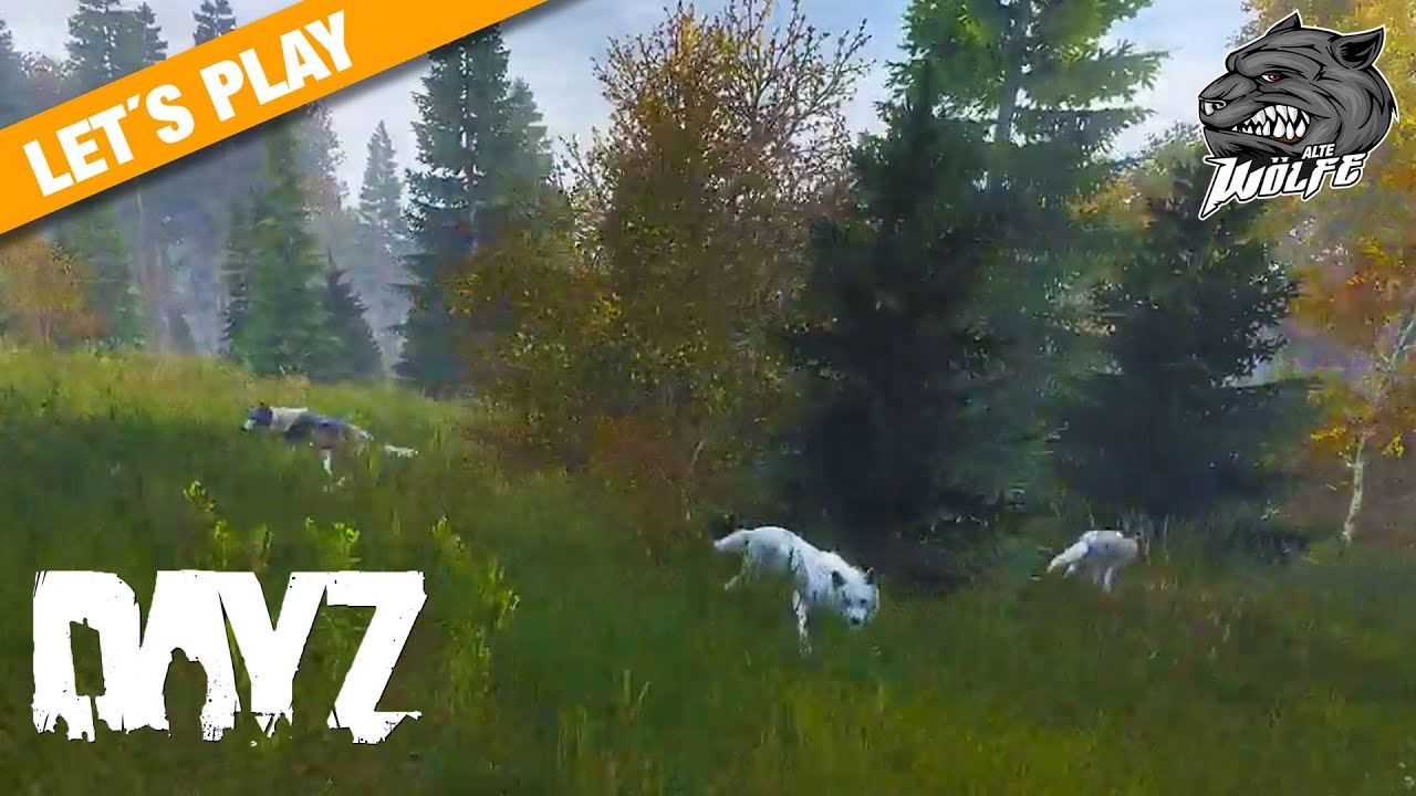 DayZ [Let's Play] Tag #1 nicht &Uuml;berlebt, Hunger und W&ouml;lfe