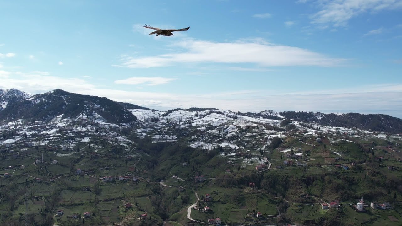 Of/Trabzon - Drone