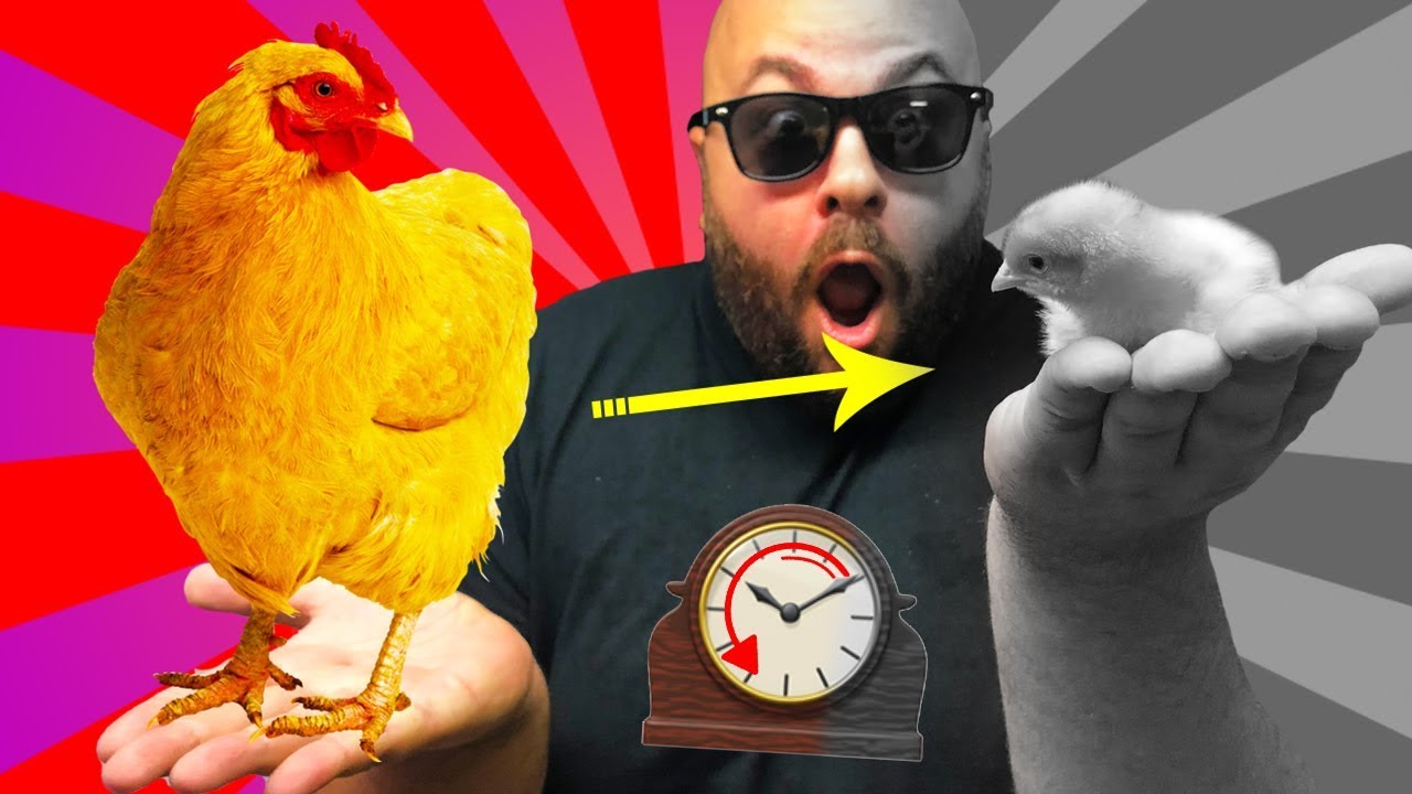 How To TIME TRAVEL!
