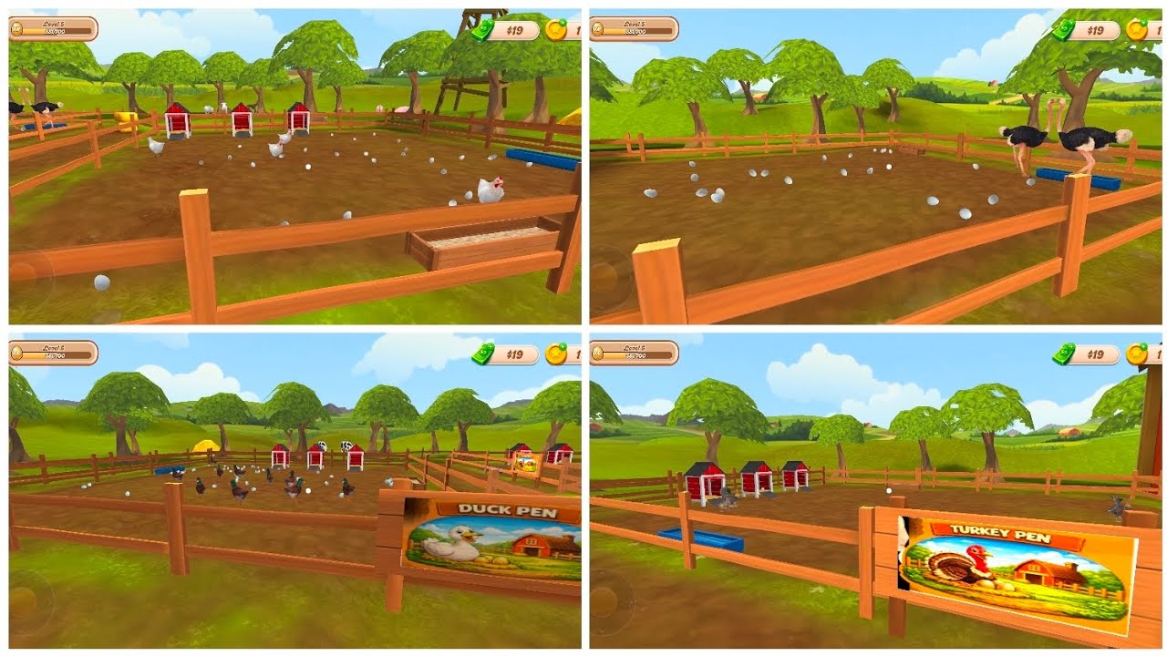 Duck & Turkey Purchase Egg & Ranch Farming Simulator (Android Gameplay) #5 