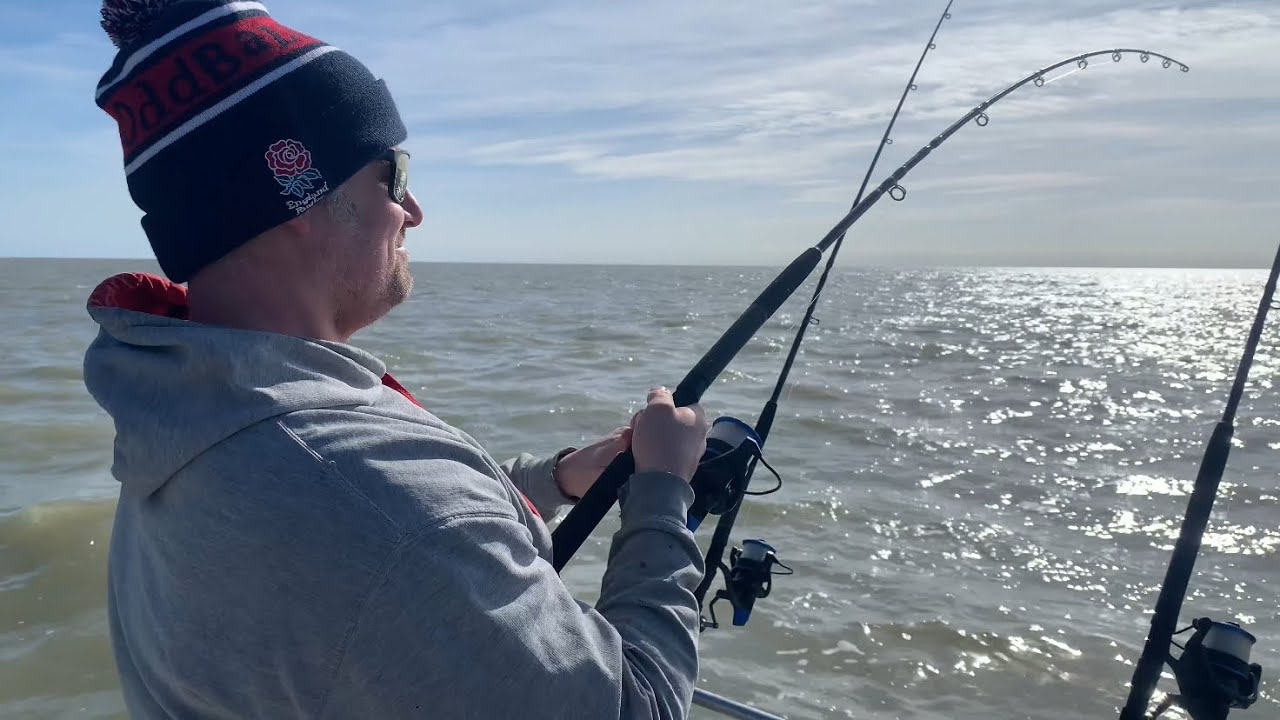 March Smooth Hound prospecting fishing mission | boat fishing North Sea