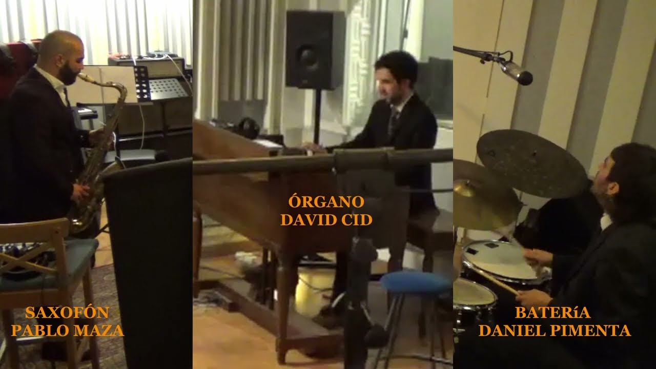 Organ Freeman - Argument