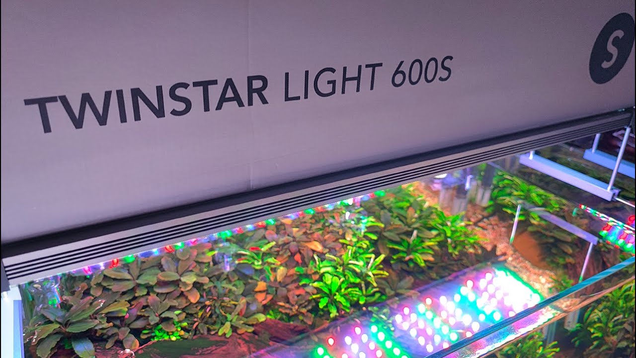 Twinstar Light IV 600S Pantalla LED Para Acuarios Plantados 💡 Review Completa