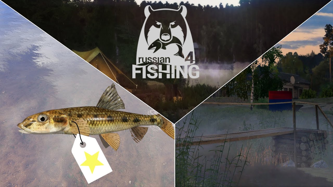Trophyjagd Gr&uuml;ndling - Ehrenfischer Windenbach | Russian Fishing 4