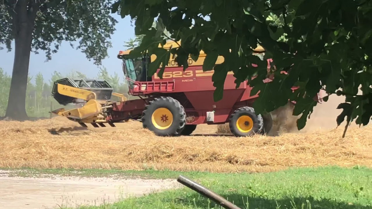 Trebbiatura frumento 2019/20 con New Holland L523 🌾🌾🚜