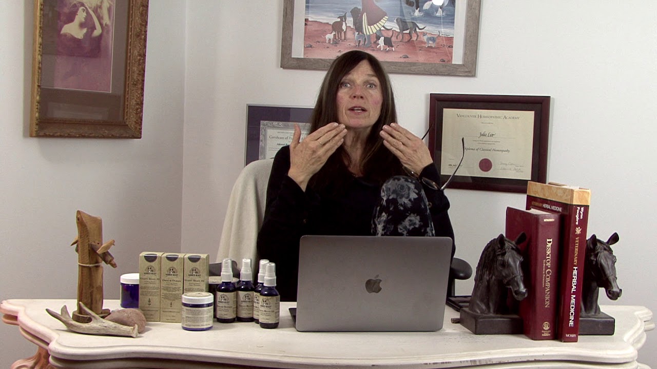 Julie Anne Lee - The Difference Between our Probiotic Products