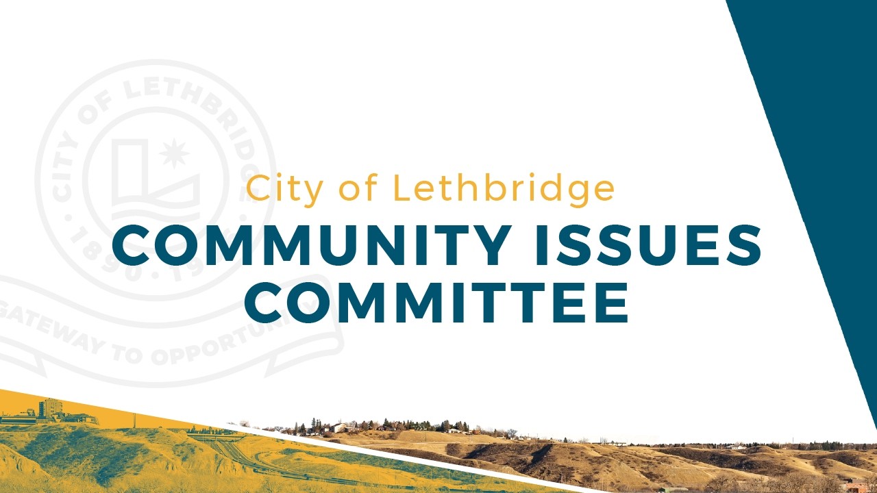 March 12, 2026 - Community Issues Committee