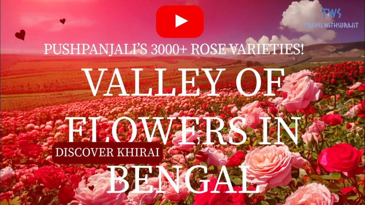 🏞️ Valley of Flowers in Bengal? Discover Khirai & Pushpanjali’s 3000+ Rose Varieties!