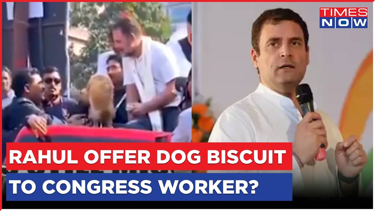 Rahul Gandhi Offers Dog Biscuit To Congress Worker During Bharat Jodo Nyay Yatra,&nbsp;Claims&nbsp;BJP