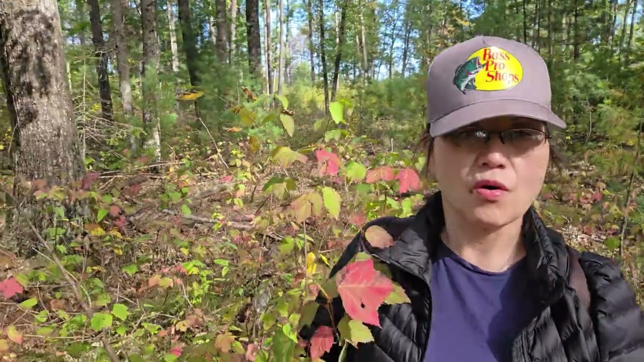 PART -  31 - SQUIRREL HUNT 2025