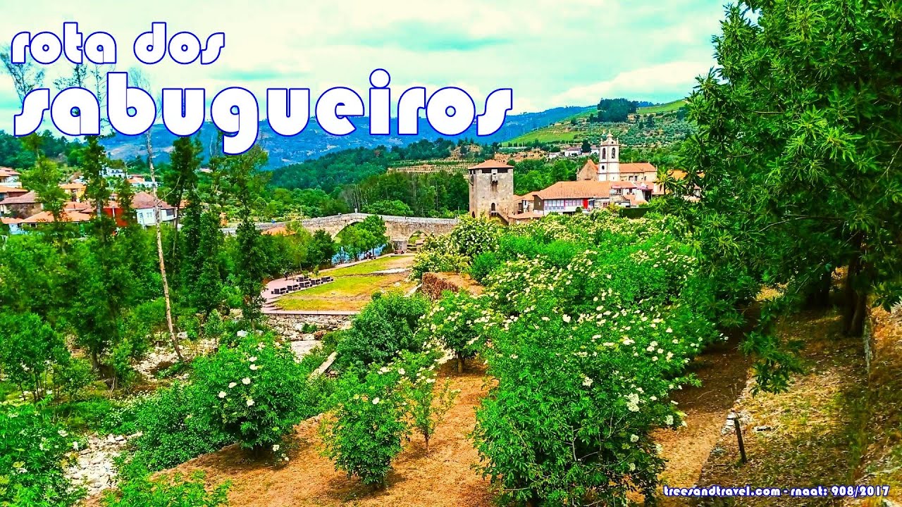Rota dos Sabugueiros 
