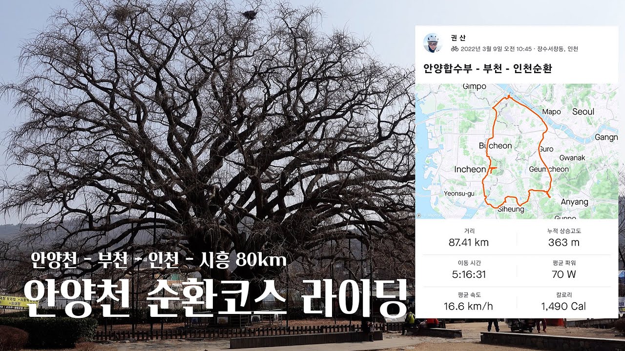 안양천 - 아라자전거길 - 굴포천 - 인천대공원 - 소래포구 - 시흥 보통천 - 안양천 / 안양천  80km 순환 라이딩 코스  [4K]