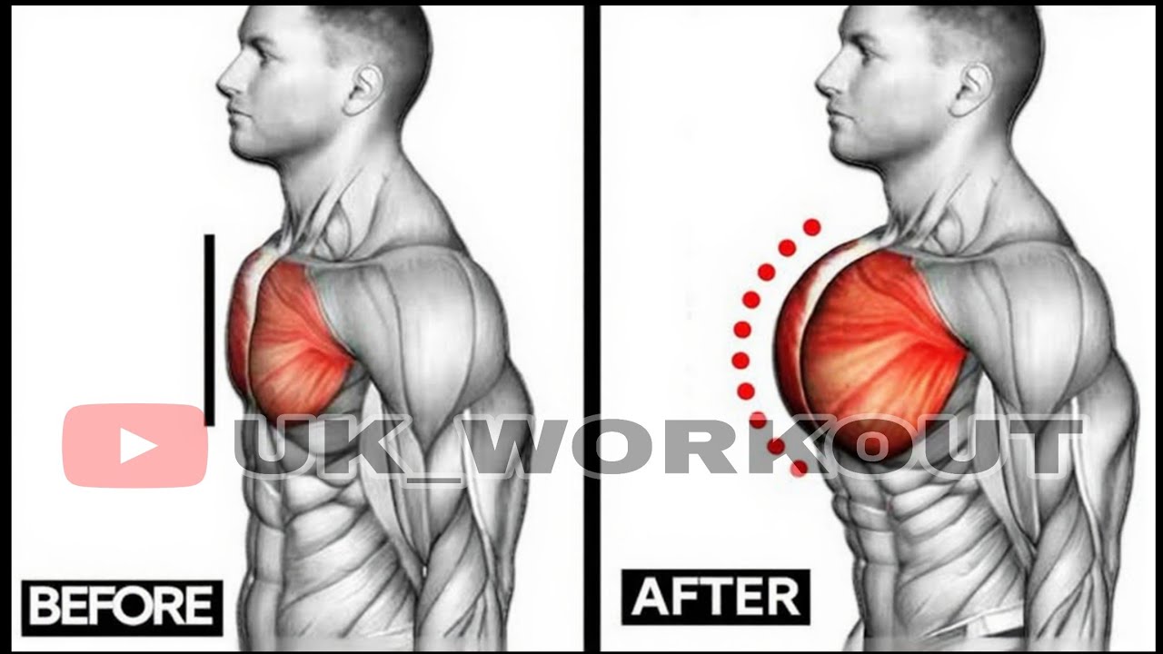 The Chest Exercise For You And For Men 