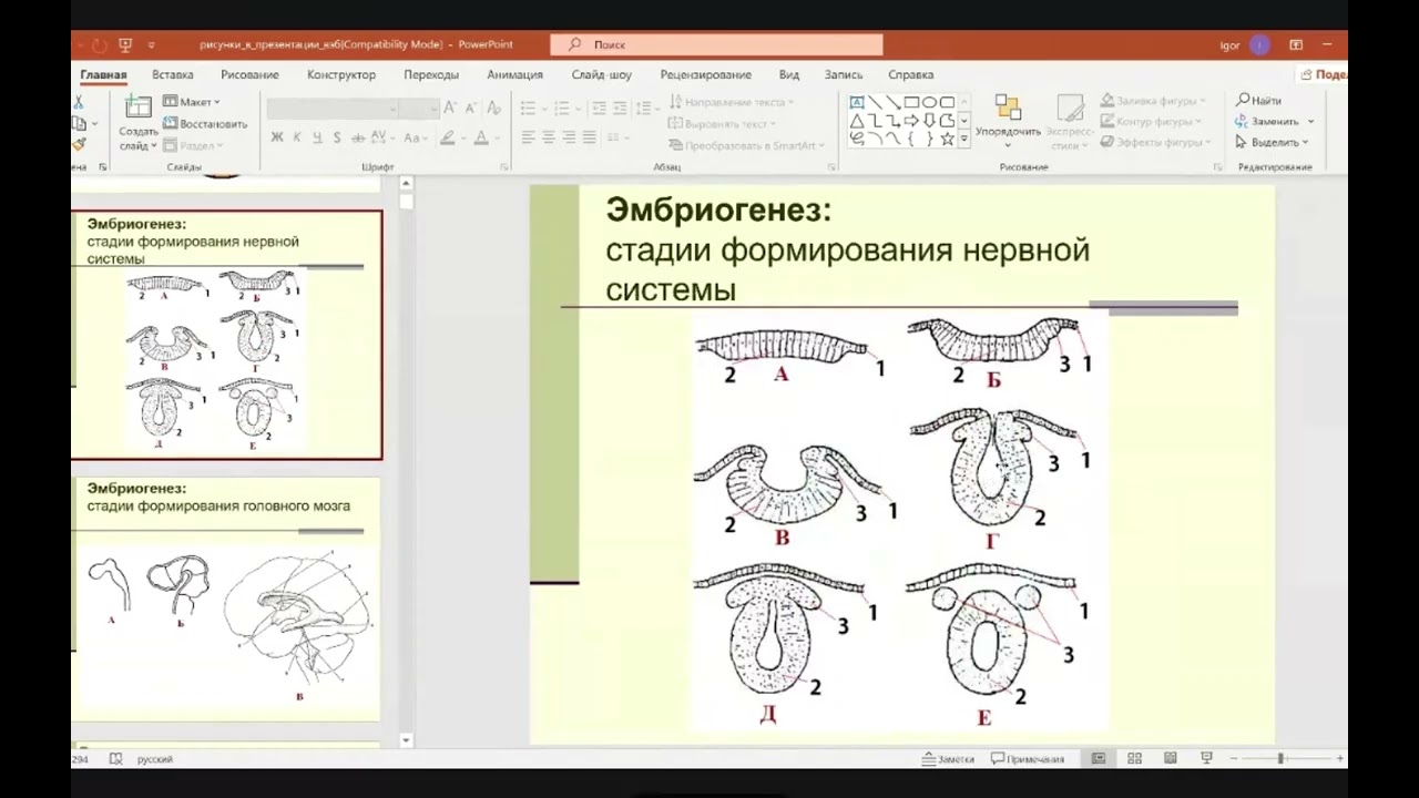 Нейрофизиологические аспекты метода Фолля и метода Риодораку.