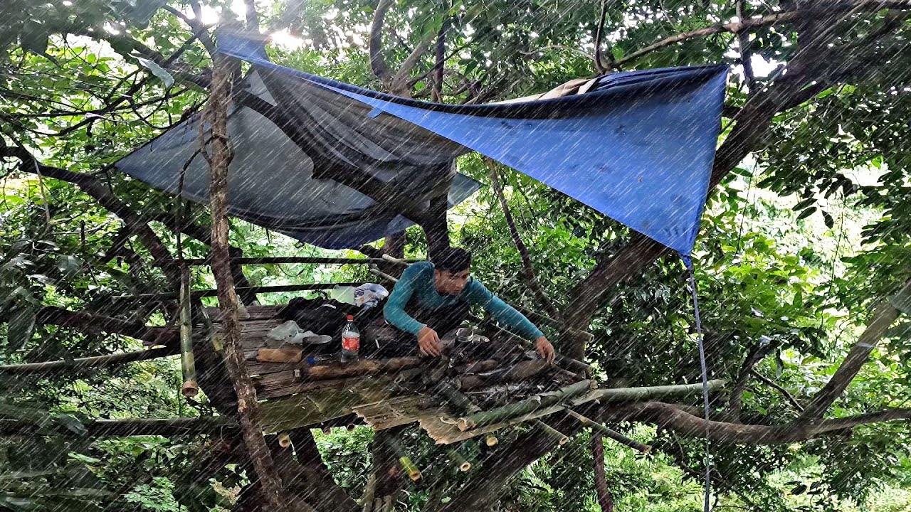 เข้าป่าบังเอิญเจอห้างเลยขึ้นไปพักแรม เจอฝนตกบรรยากาศดี