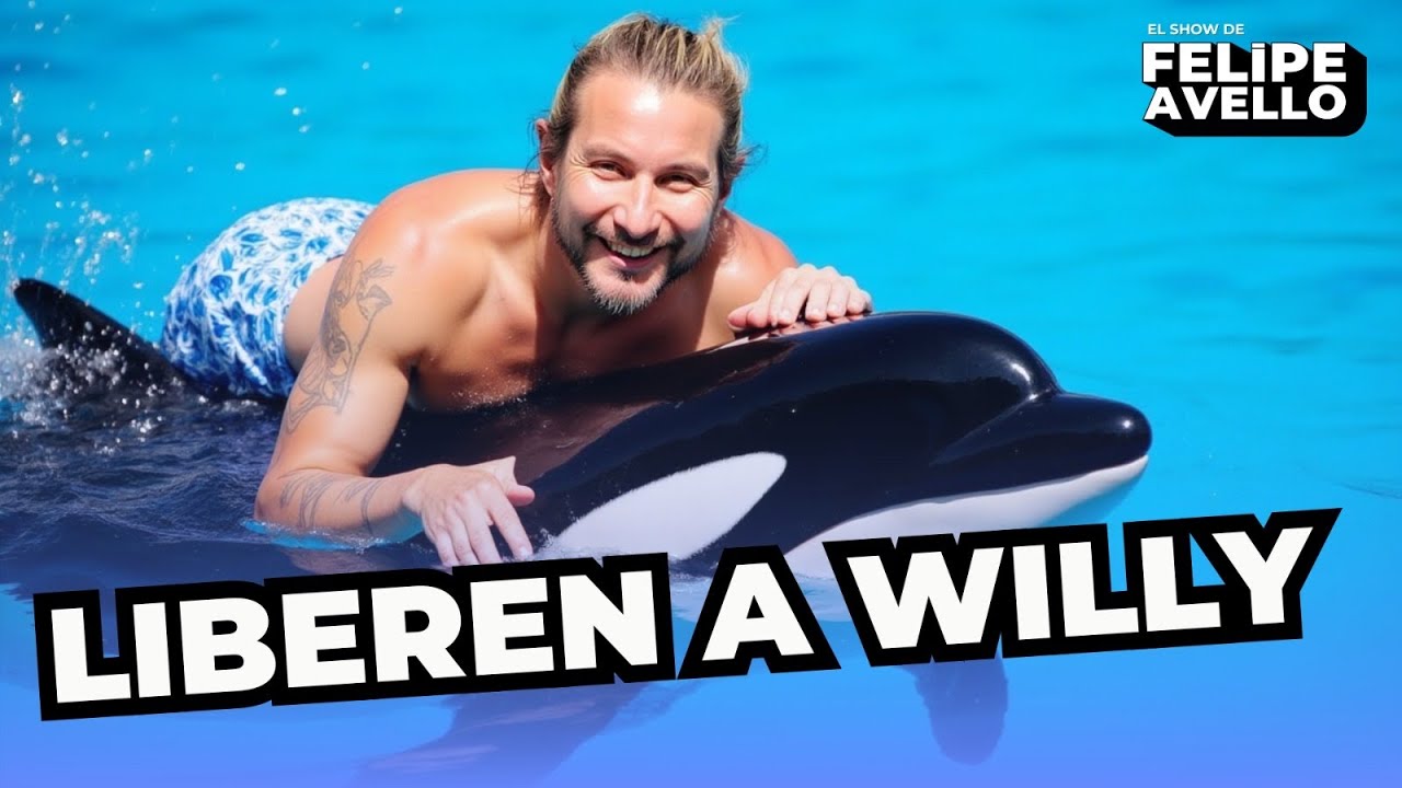 ''LIBEREN A WILLY'' - #FelipeAvello en vivo desde Casino Dreams #Valdivia 2024