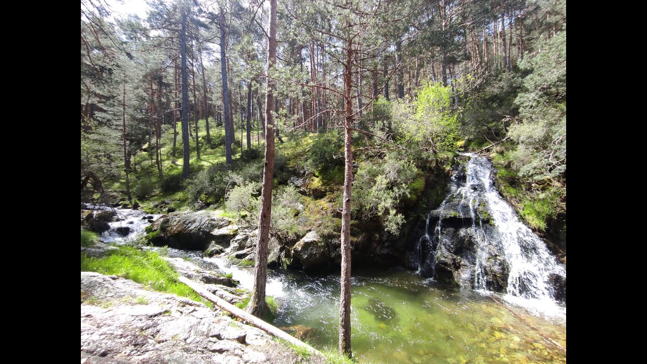 Senderismo Segovia: BOSQUES DE VALSAÍN, CASCADA DE VALTUEÑA, LA PRADERA DE NAVALHORNO