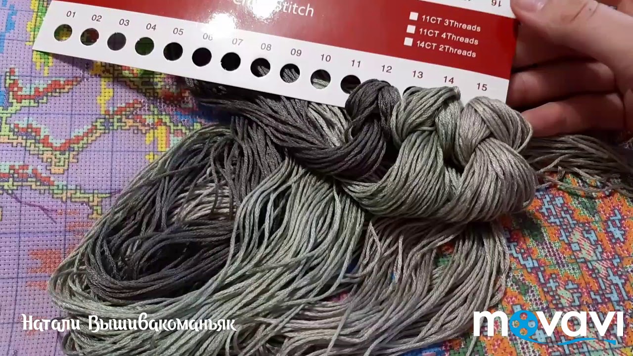 71. Бенгальские тигры и 12 красавиц. Обзор, начало, впечатления...