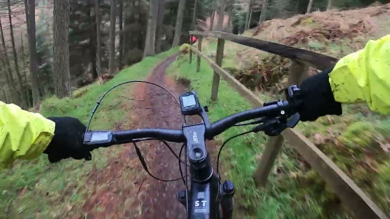 Glentress Forest  - Blue XC route.