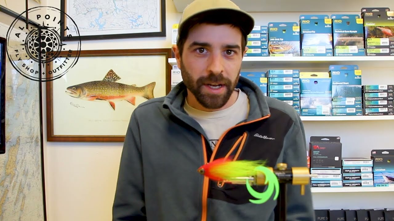 Fly Tying - Attaching Pacchiarini's Dragon Tails