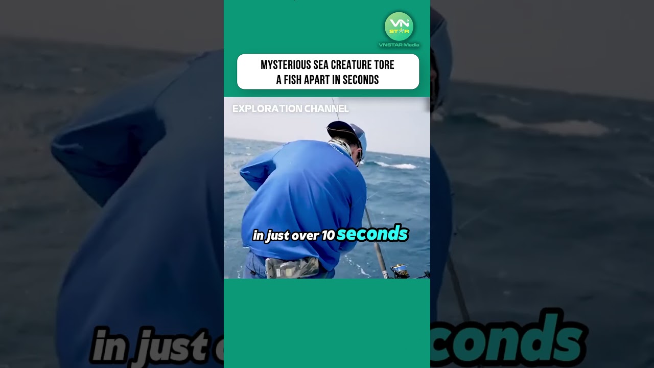 Mysterious Sea Creature Tore a Fish Apart in Seconds #shorts #fishing