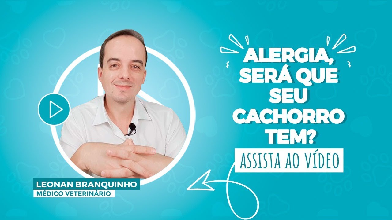 Alergia, será que seu cachorro tem?
