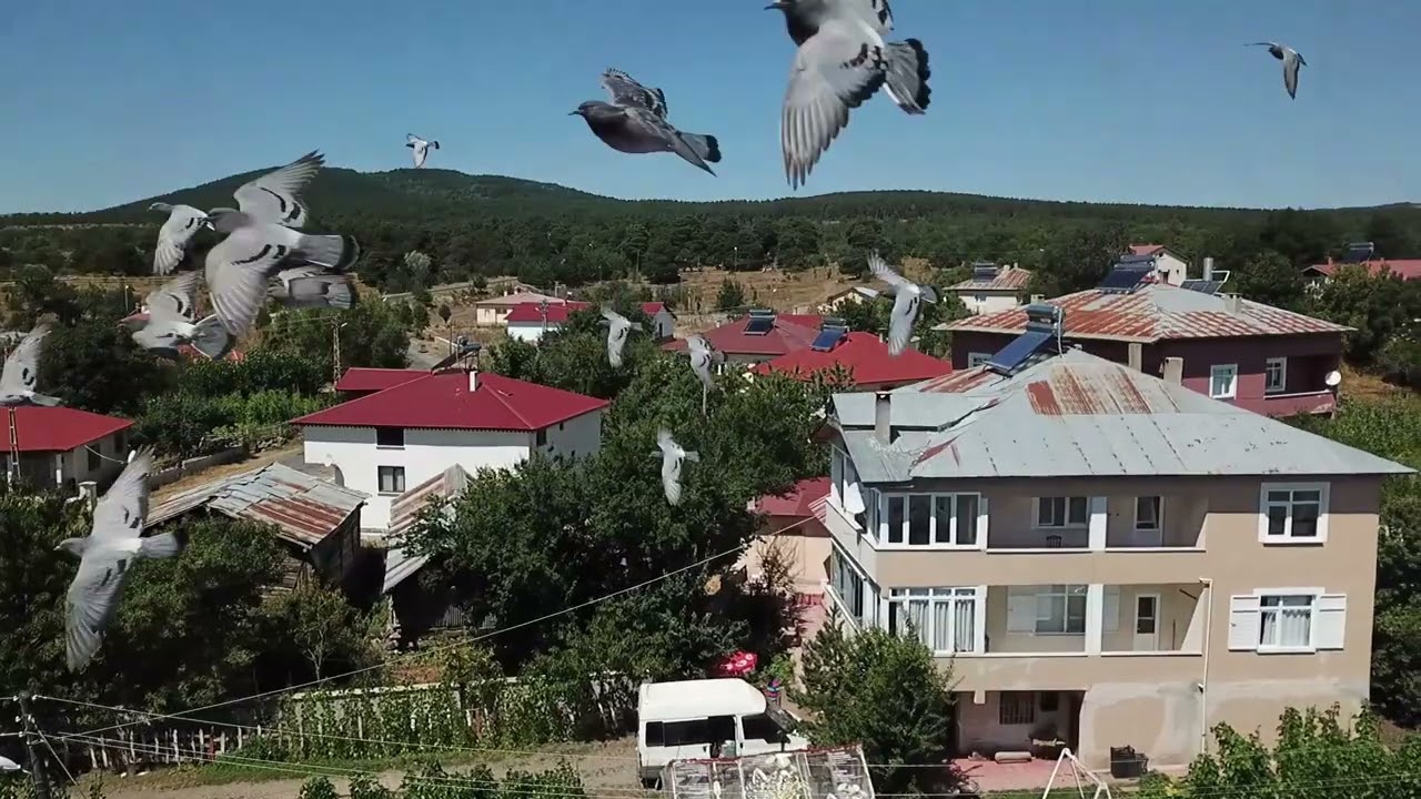 ORDU MESUDİYE KIŞLACIK KÖYÜ - 23.08.2025