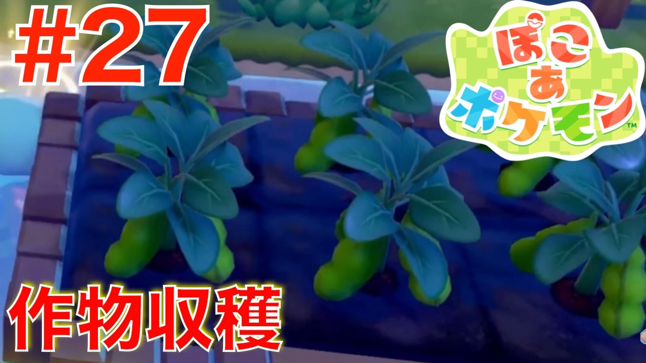 #27 初めての作物収穫！雨で実るマメ【ぽこあポケモン】