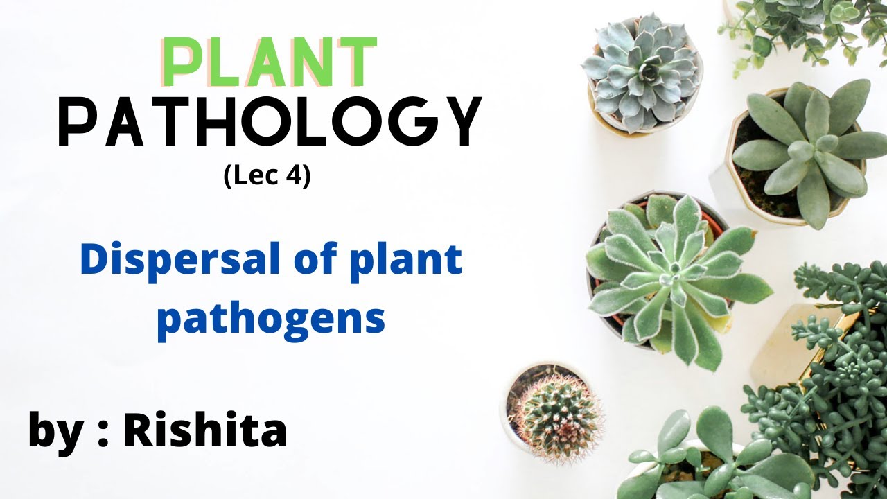 Dispersal of plant pathogens • PP lec 4 • Go For Agriculture Education #icar #bhu #ibps