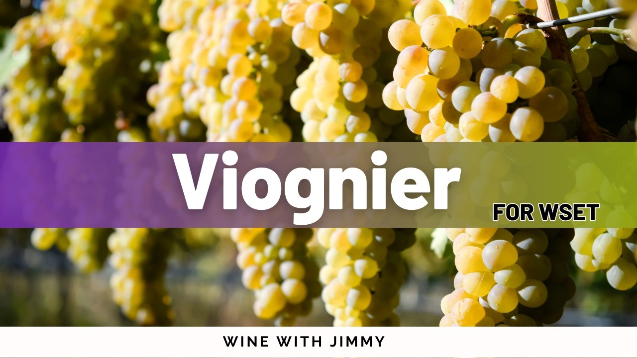 Вионье для WSET уровня 2 и уровня 3