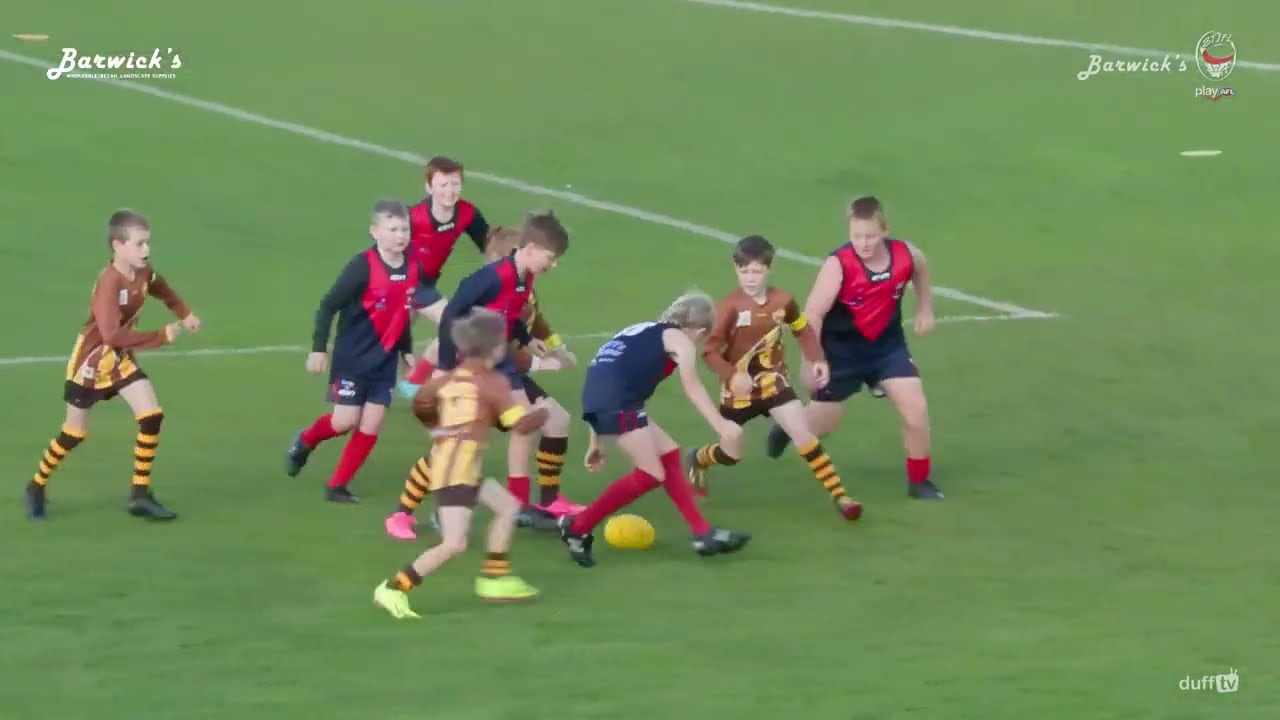 Brighton Blue vs Central Hawks | STJFL U10 Mixed Gala Day