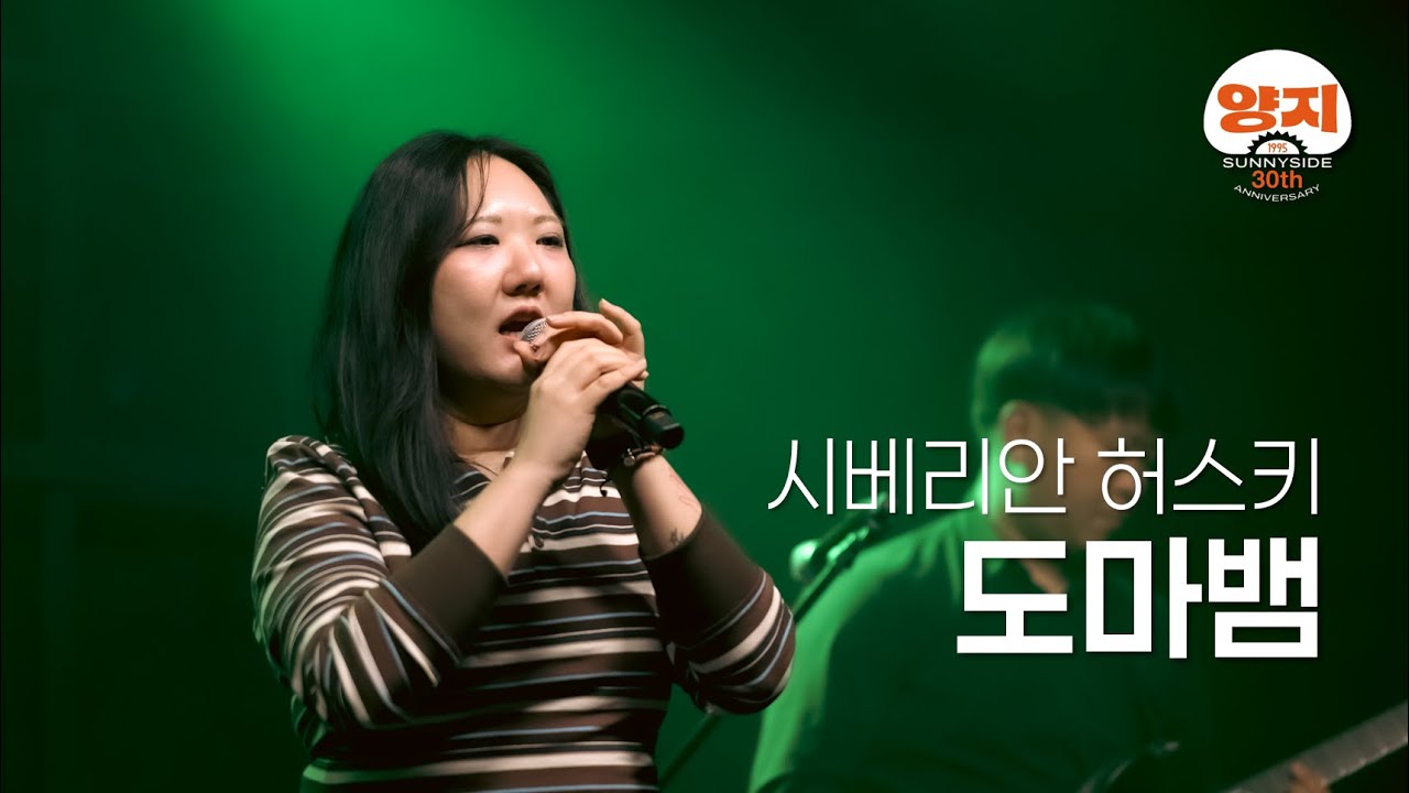 도마뱀 (시베리안 허스키) Band Live│양지바른곳 30주년 공연
