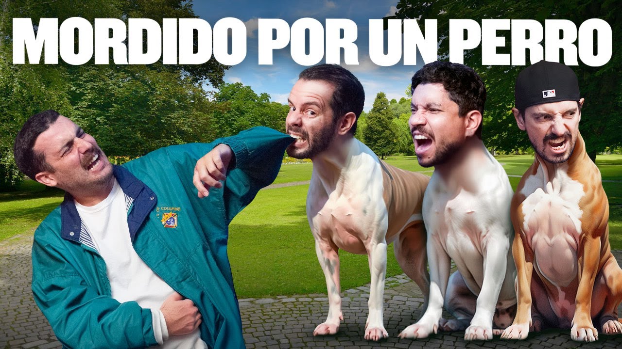 ¿Cómo separar una pelea de perros? Y la caída de CrowdStrike - EP #581